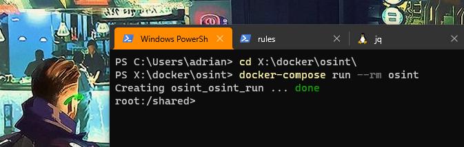 Docker-compose started in terminal